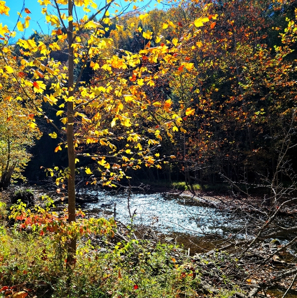 Currently, just browsing. :) - Picture 1 of 1